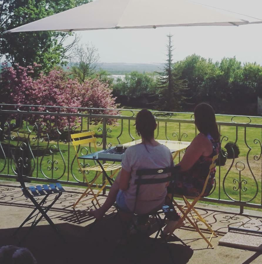 Domaine De Bourgville Monts-sur-Guesnes Dış mekan fotoğraf