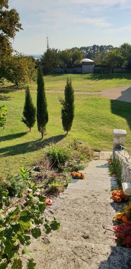 Domaine De Bourgville Monts-sur-Guesnes Dış mekan fotoğraf