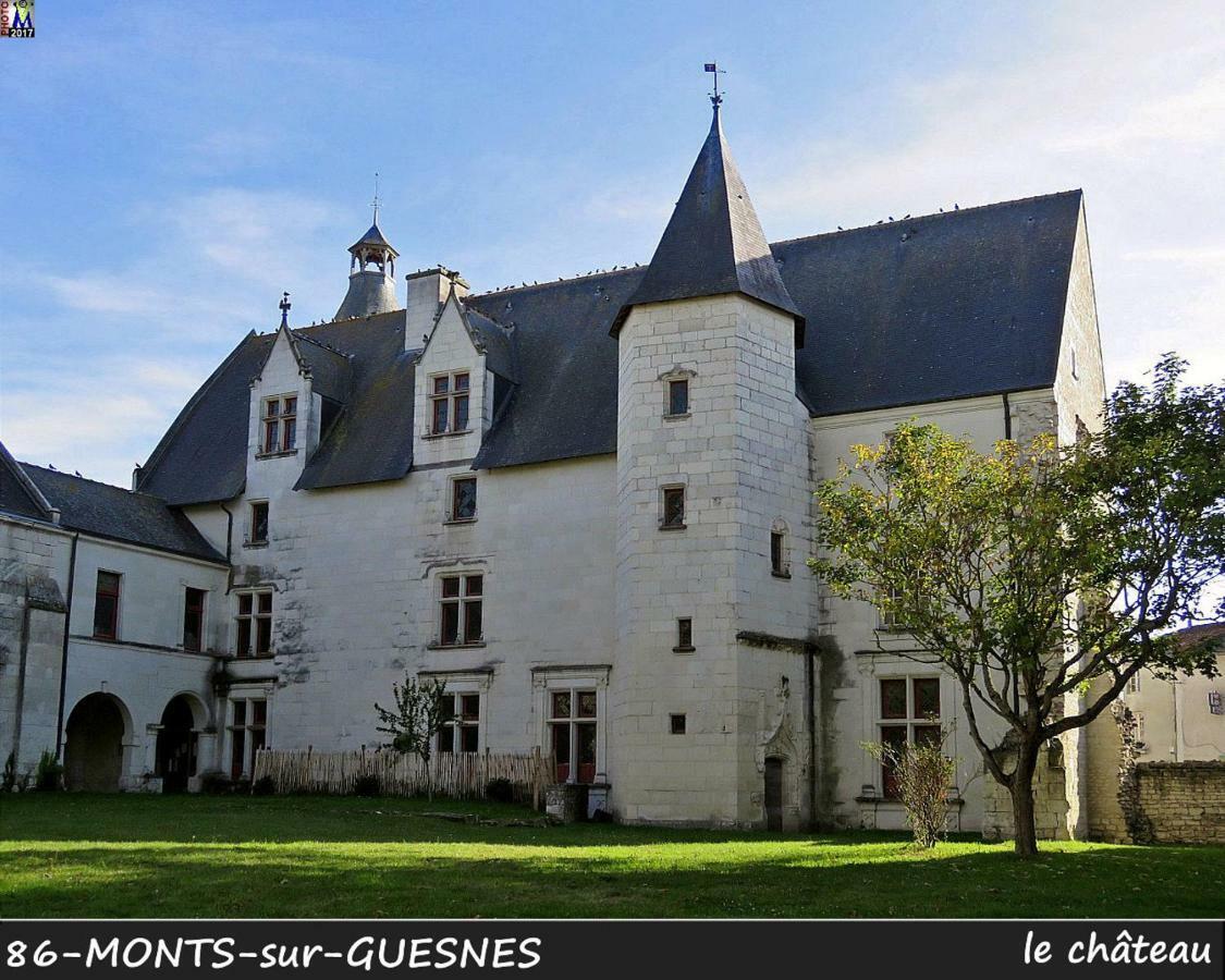 Domaine De Bourgville Monts-sur-Guesnes Dış mekan fotoğraf
